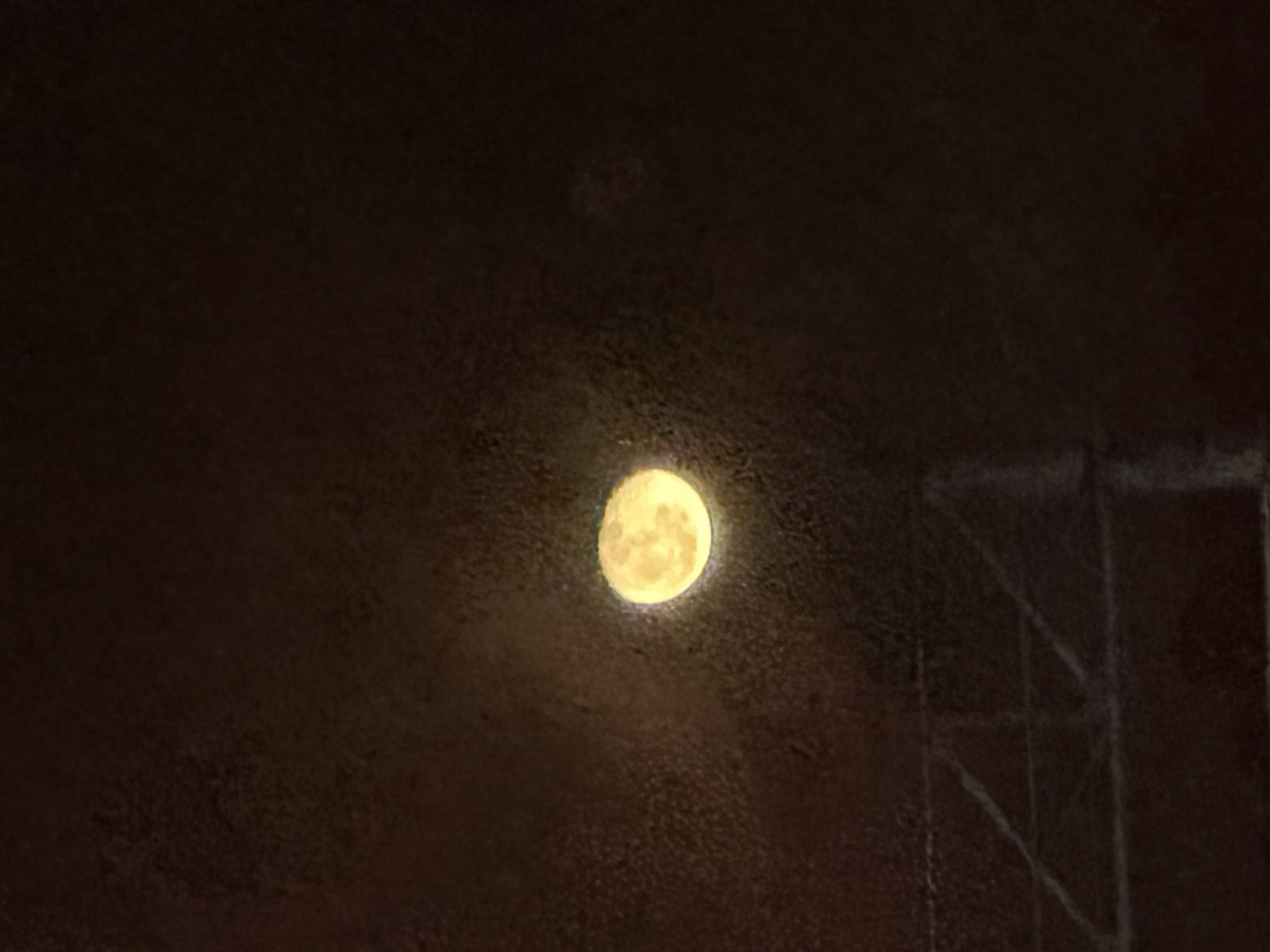 hippiemoon