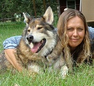 wolfycat